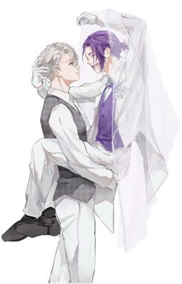 [NagiReo] Liên hôn