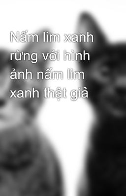 Nấm lim xanh rừng với hình ảnh nấm lim xanh thật giả