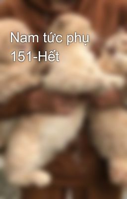 Nam tức phụ 151-Hết