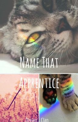 ☞ name that apprentice ☜