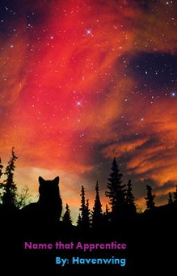 Name that Apprentice