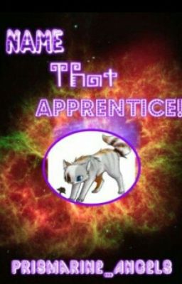 Name That Apprentice! (discontinued)