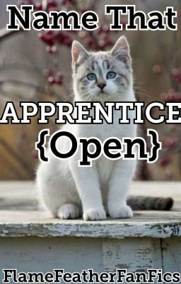 Name That Apprentice {OPEN}