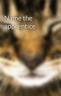 Name the apprentice
