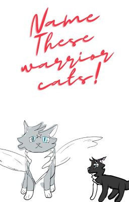 name these warrior cats!!!