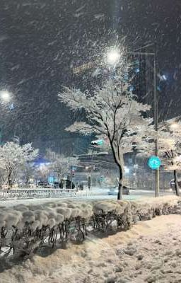 Namjin | The shards of memory