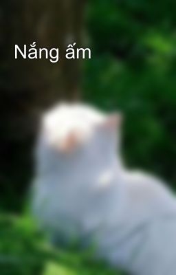 Nắng ấm