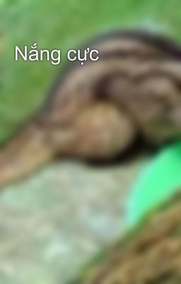Nắng cực