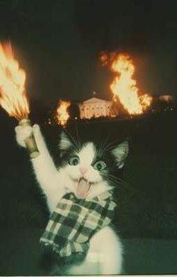 nắng hạ mưa thu |atsh2|