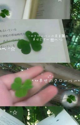 Nắng mai trên phố cũ