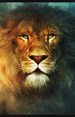 Narnia imagines