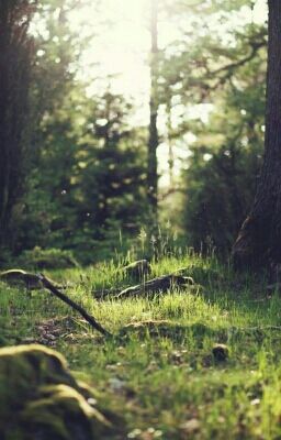 Natures Prisoner