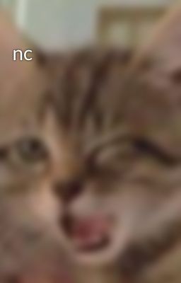 nc
