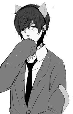 Neko guy x reader chan (hold)