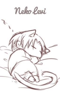 Neko Levi X reader