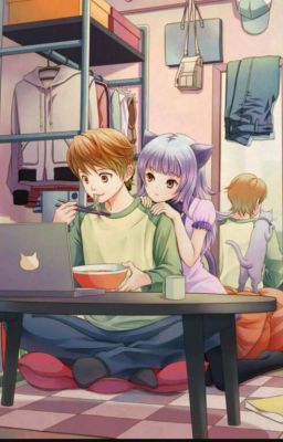 Neko no ai (high school boy x female reader)