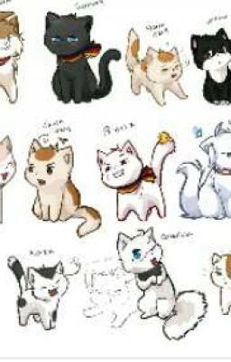 nekotalia x Kitten reader 