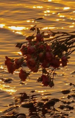 Nếu Biết Đó Là Lần Cuối 