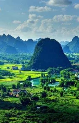 Ngàn năm bất diệt 