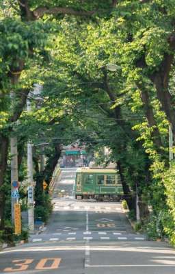 Ngày cậu mỉm cười, mùa hạ cũng dịu lại