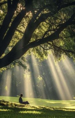 Ngày Em Tìm Đến Anh