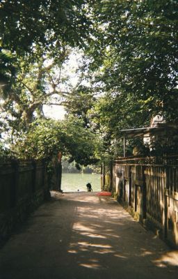 Ngày Gió Đổi Hướng