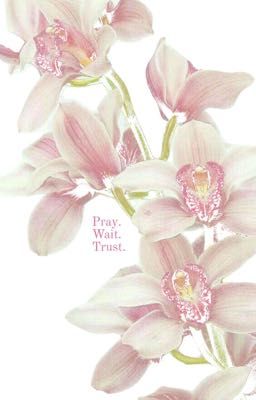 ngày không còn nắng.