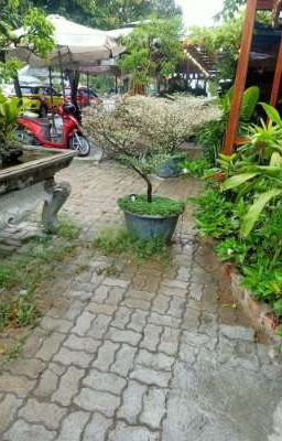 nghề làm hương trầm