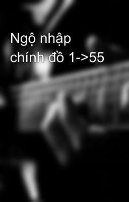 Ngộ nhập chính đồ 1->55