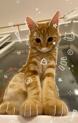 [NgọcVũ]: Một nhà, hai người, ba mèo.