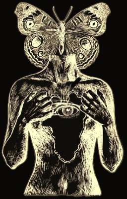 [ngocvu] thiêu thân