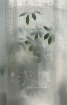 ngọn đồi năm ấy có ahn và eom