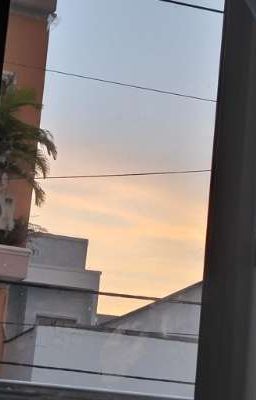 Ngục tù và sự lừa dối 