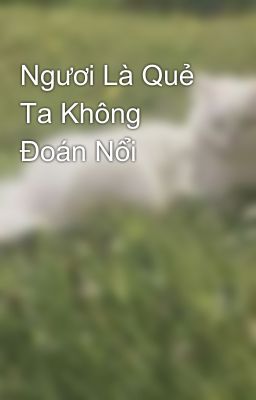 Ngươi Là Quẻ Ta Không Đoán Nổi