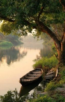 Người Trong Lòng