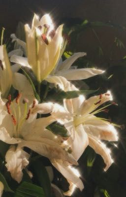 người yêu mới của người yêu cũ