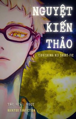 NGUYỆT KIẾN THẢO | Tsukishima Kei