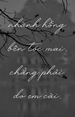 nhành hồng bên tóc mai, chẳng phải do em cài.