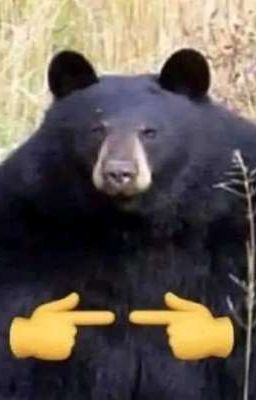 nháp