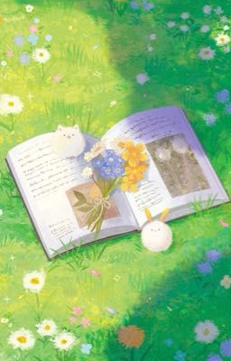 Nhật kí của tôi