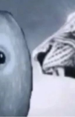 Nhật kí kẻ mất ngủ