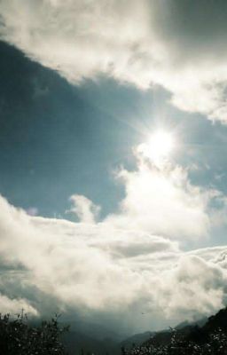 Nhật kí những ngày còn trái tim