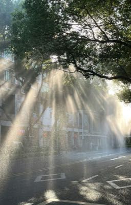 Nhật Kí Thích Thầm