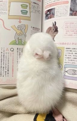 nhật kí thủ dâm của béee><