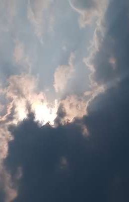 Nhật ký của Vickynn năm cuối