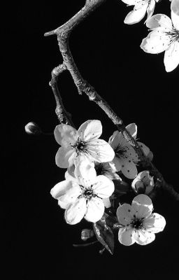 Nhật ký gửi con