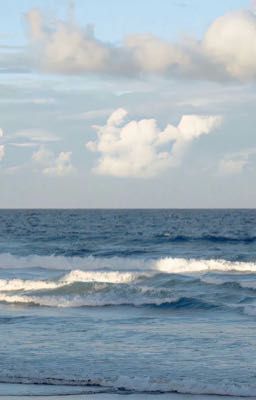 Nhật ký vào những ngày không có 