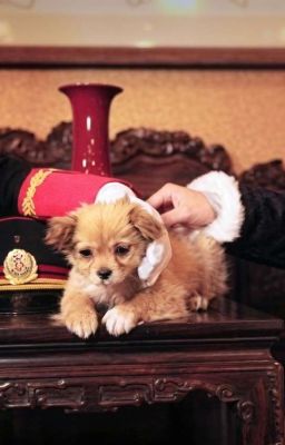 [Nhất Ngũ] Số Phận