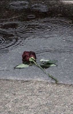 [NhãTít] Một Đời