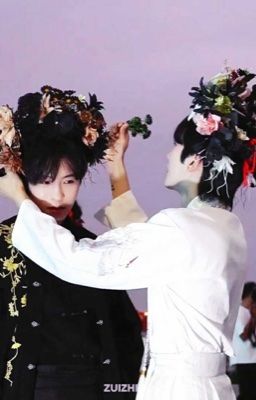 Nhịp tim và tiếng còi xe 